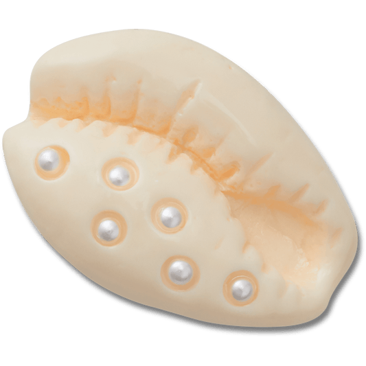 Crocs Trending | Pearl Puka Shell Jibbitz™ charms