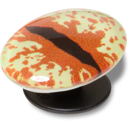 Crocs Exclusive | Hazel Animal Eye Jibbitz™ charms