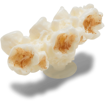 Crocs Great Value | Realistic Popcorn 2 Jibbitz™ charms