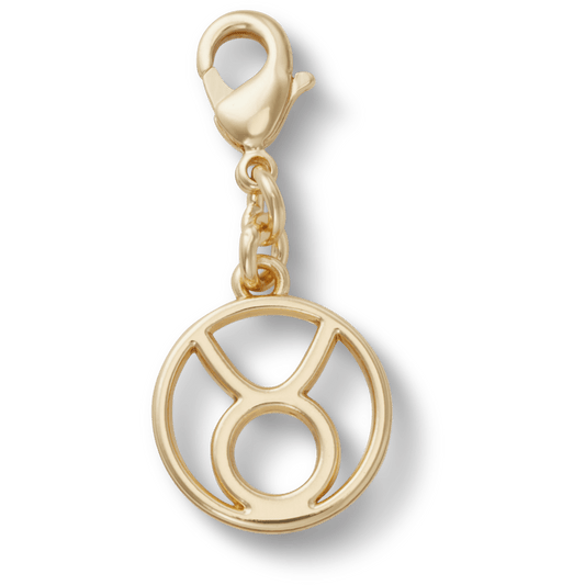 Crocs Great Value | Taurus Charm Jibbitz™ charms