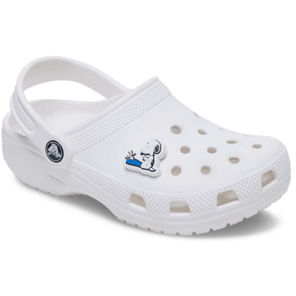 Crocs Customer Favorite | Jibbitz Shoe Charm