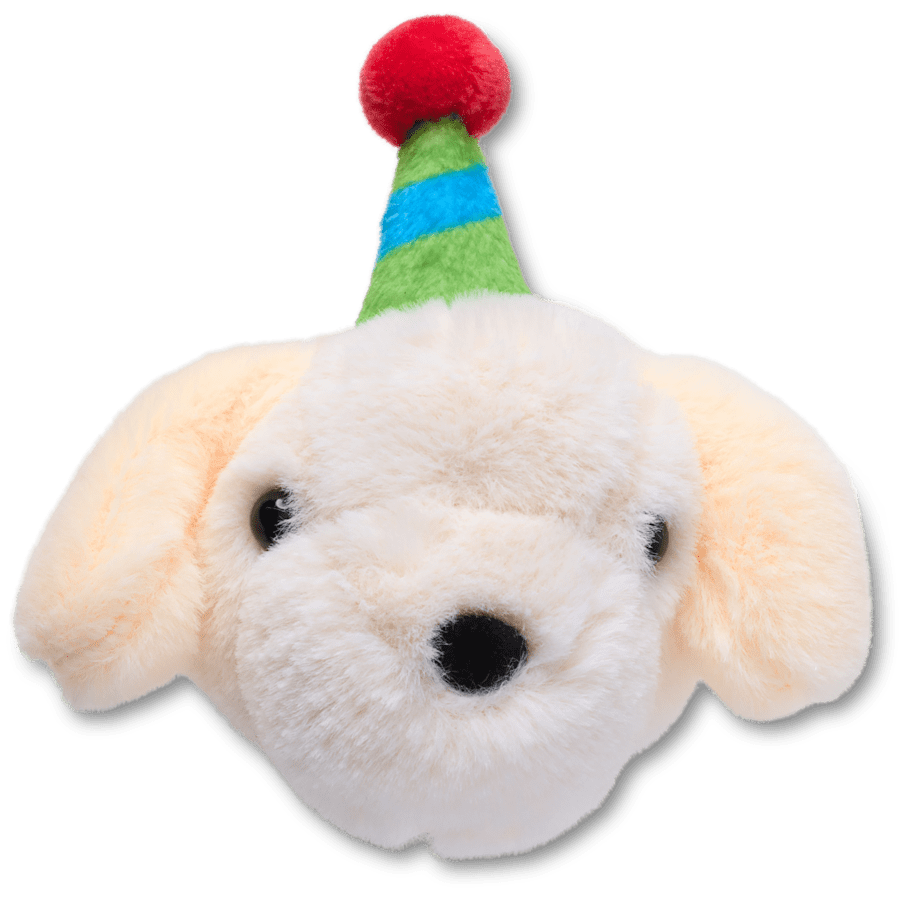 Crocs Classic | Record Your Own Sound Birthday Jibbitz™ charms